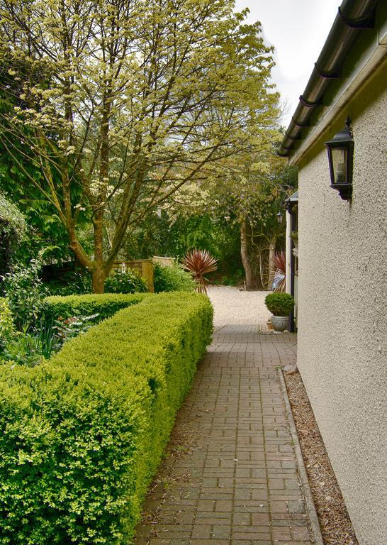 Tumbling Weir Hotel Ottery St Mary ภายนอก รูปภาพ